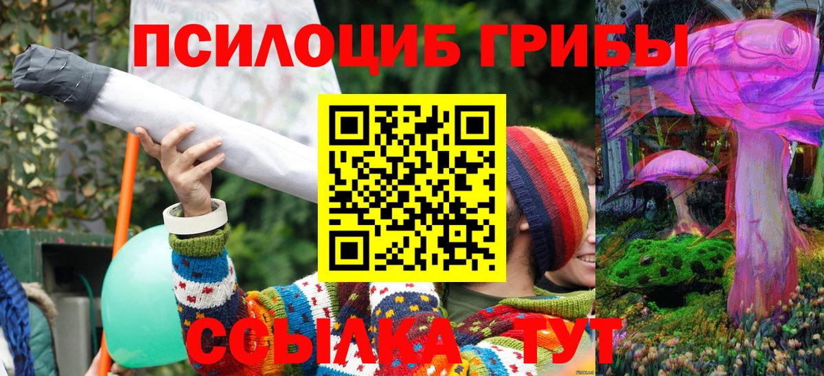 Галлюциногенные грибы Cubensis  Вход с VPN  Саров 